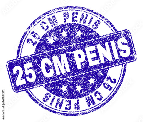 25 CM PENIS stamp seal imprint with grunge texture. Designed with rounded rectangle and circles. Blue vector rubber watermark of 25 CM PENIS title with grunge texture.