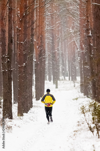Winter running in the forest