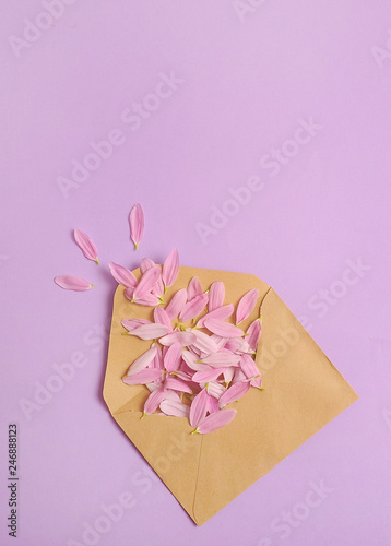 Envelope with flower's petals on colorful background. © Alona