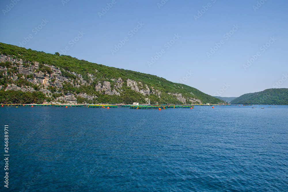 Adriatic Coast Tour. Limski Fjord in Istria. Adriatic Sea