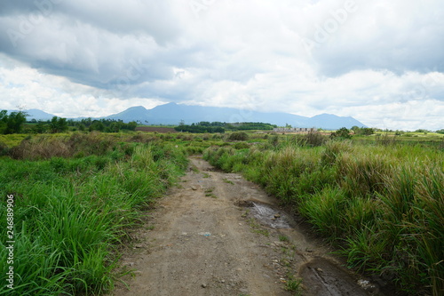 View of the countryside near Bacolod City, Philippines with a road