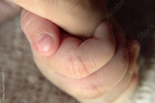 baby hand holding finger © Irina