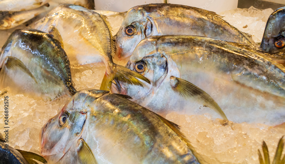 fish for sale on the market
