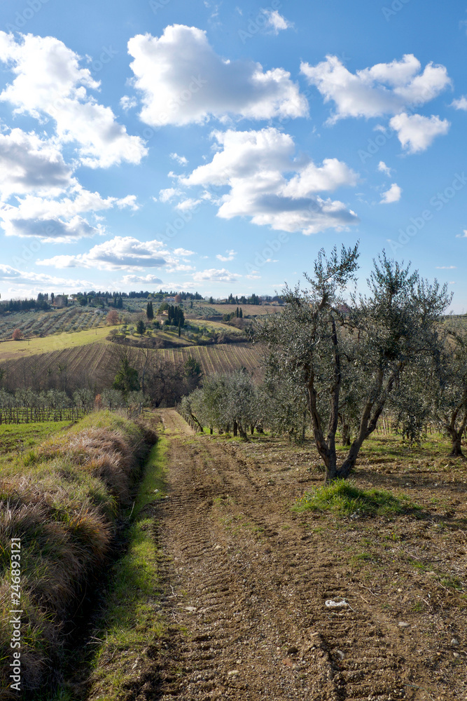 Obraz premium Chianti landscape