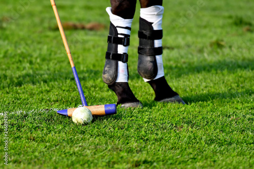 Polo horse legs close up. Ball and mallet on the grass. Horizontal.