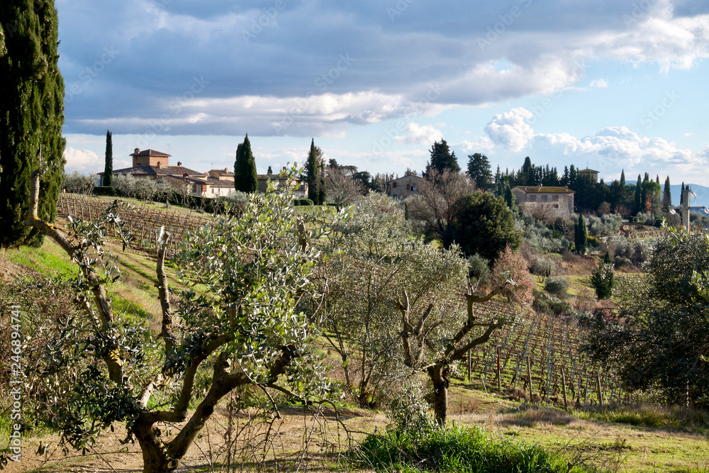 Paesaggio del Chianti in toscana con ulivi vigna e borgo antico sullo sfondo