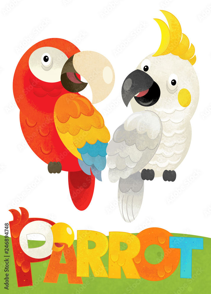 cartoon scene with happy parrot on white background with name sign of animal - illustration for children Stock Illustration | Adobe Stock cartoon scene with happy parrot on white background with name sign of animal - illustration for children Stock Illustration | Adobe Stock