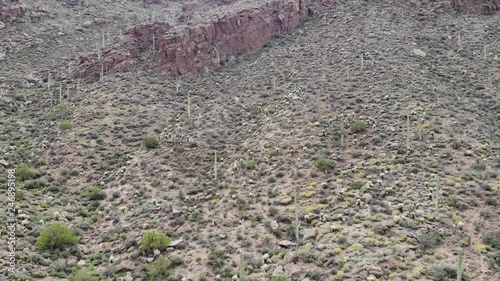 Saguaro National Park