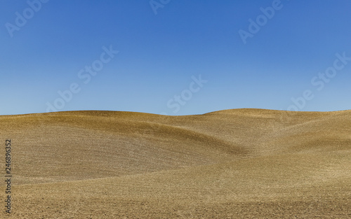 Crete Senesi - Toscana