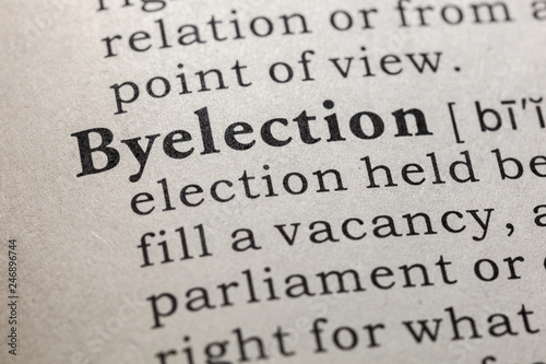 definition of byelection photo