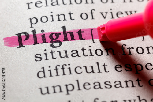 definition of plight