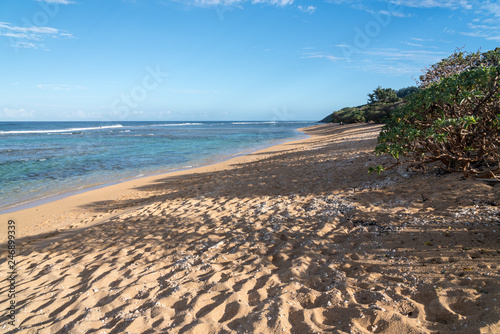 Fototapeta Naklejka Na Ścianę i Meble -  Deserted sandy Larsen's Beach near Pakala point on Kauai