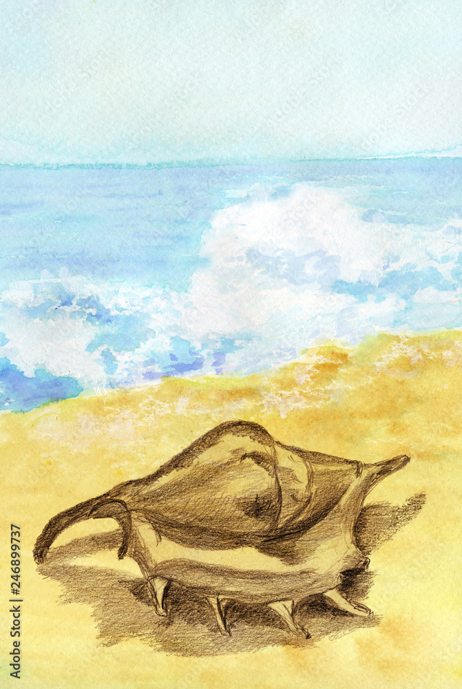 Obraz premium Hand painted abstract watercolor beach theme with brown seashel on textured paper