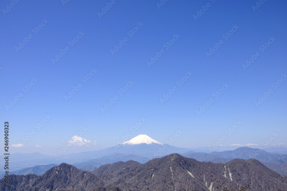 大空と富士山コピースペース