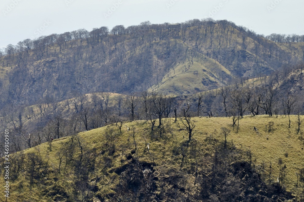 Naklejka premium 早春の丹沢山と鬼ヶ岩ノ頭