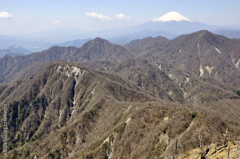 丹沢山地の山並みと富士山 丹沢山地の山並みと富士山