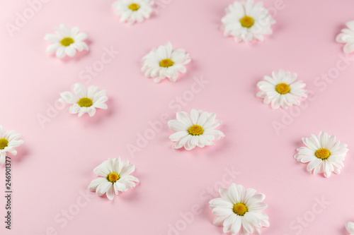 White daisies flowers. © VAKSMANV