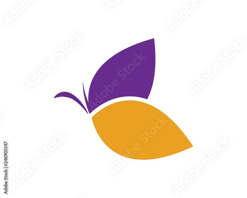 butterfly logo vector template design