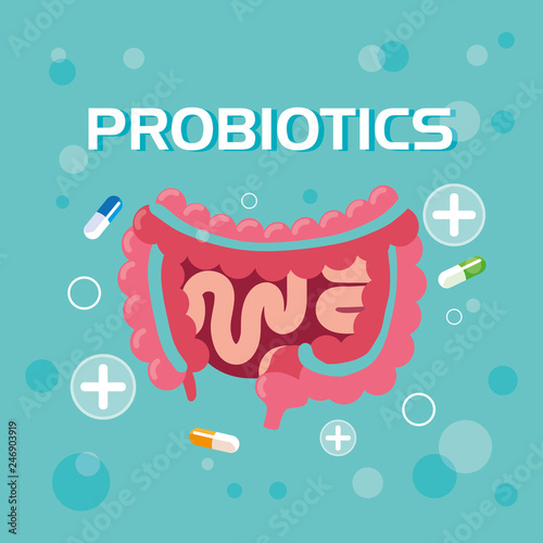 digestive system with probiotics medicines