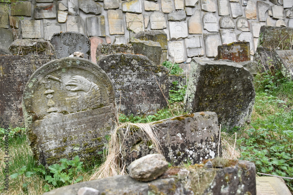 Kazimierz Dolny, cmentarz żydowski, kirkut Czerniawy