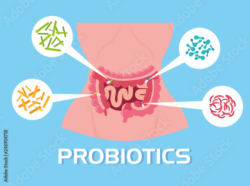 body of woman with probiotics organisms