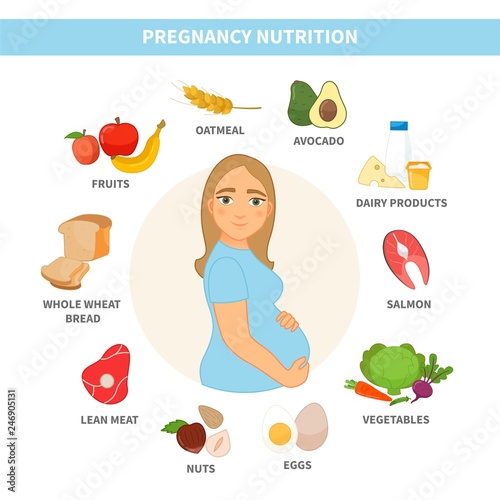 infographic nutrition of a pregnant woman. Illustration of a cute pregnant girl.
