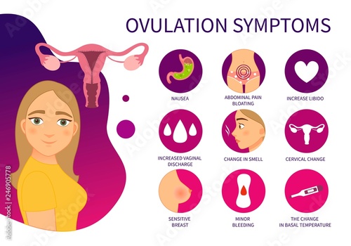 Vector poster ovulation symptoms. Illustration of a cute girl. photo