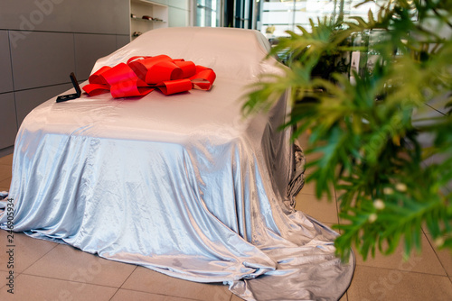 car vehicle hidden by gray cover with red bow-knot as a gift with green indoor plants at front