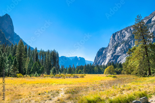 Beautiful view of Yosemite Valley in Yosemite National Park - California  USA
