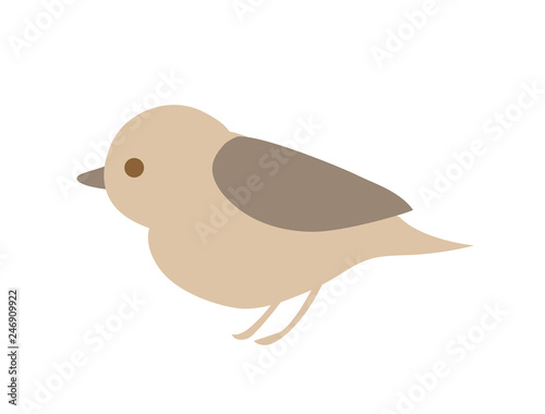 鳥8