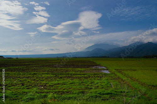 Mount Merbabu from a distance 