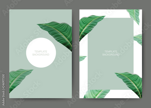 Template background banner for wedding card, spa, hotel, green leaf texture. Vector illustration