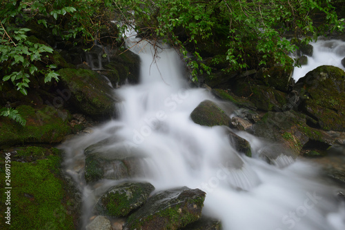 Fototapeta Naklejka Na Ścianę i Meble -  숲속의 계곡과 강 이끼 냇물 자연풍경 백그라운드 이미지