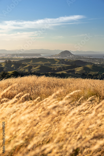 landscape in the mountains