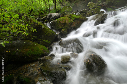 Fototapeta Naklejka Na Ścianę i Meble -  숲속의 계곡과 강 이끼 냇물 자연풍경 백그라운드 이미지