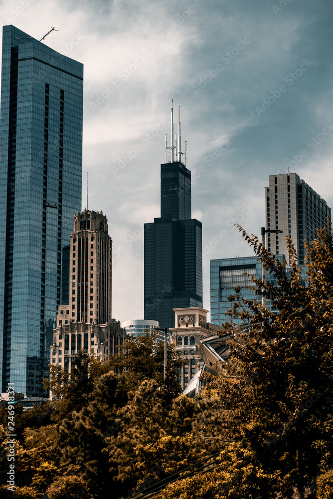 Fototapeta premium Chicago Architecture 