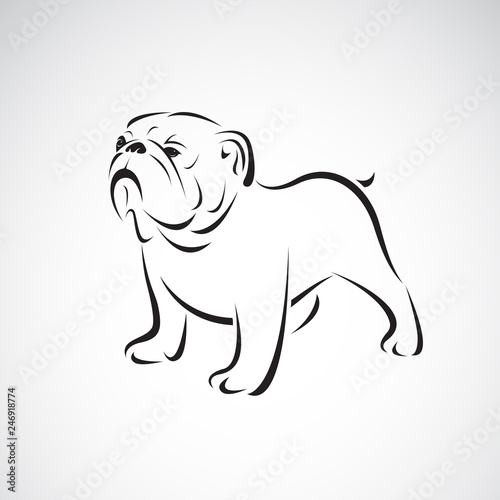 Vector of bulldog design on white background. Pet. Animals. Dog logo or icon. Easy editable layered vector illustration.
