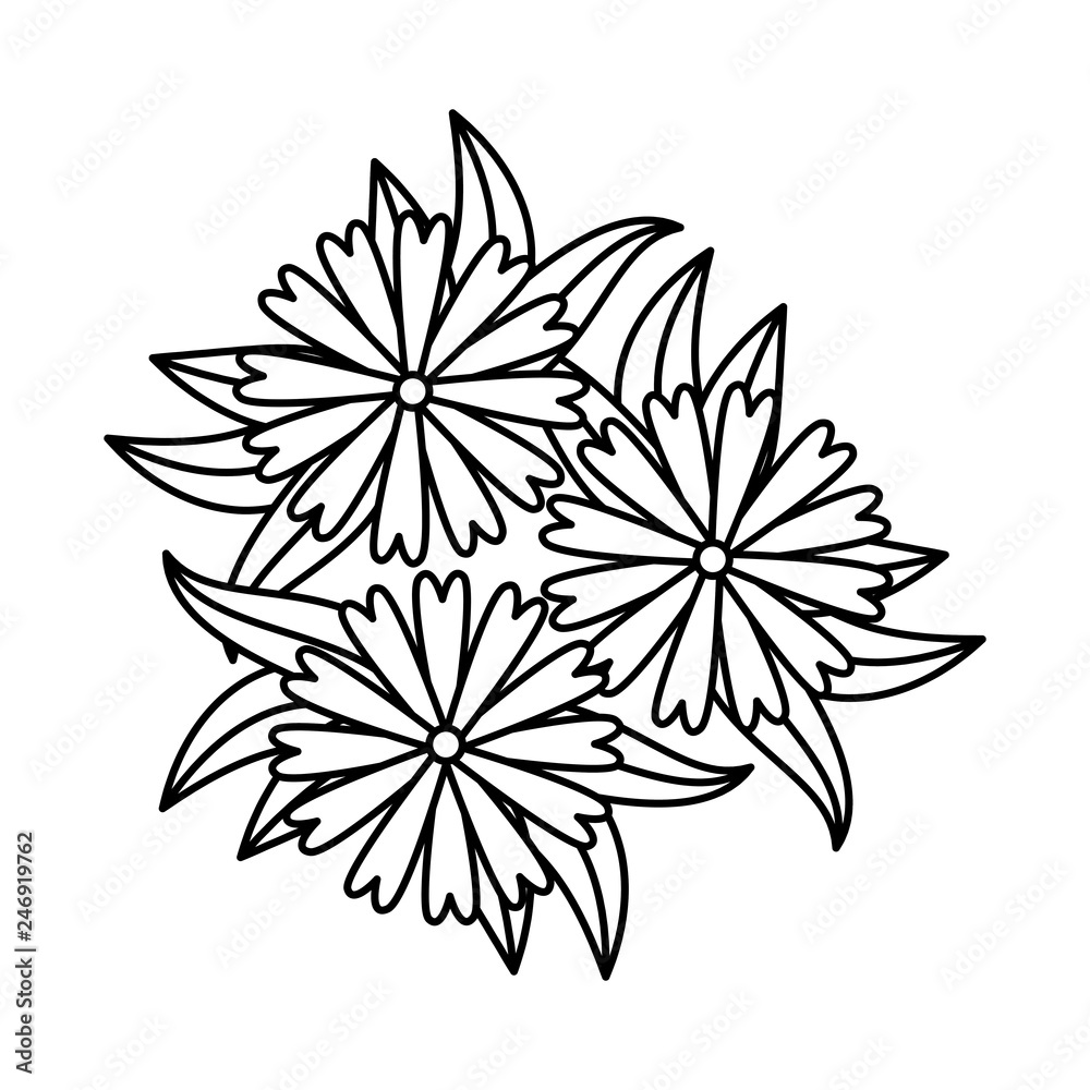 beautiful flowers and leafs decoration beautiful flowers and leafs decoration