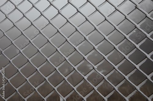 Hard rime on wire mesh fence. forest background.