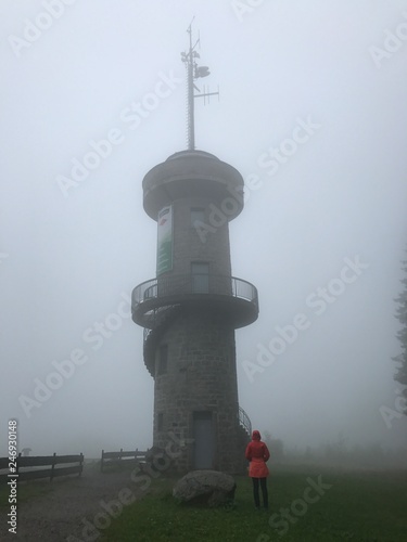 Schwarzwald im Nebel photo