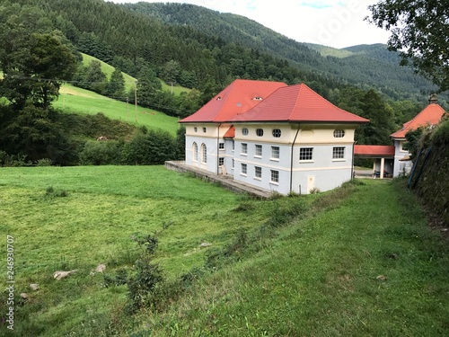 Schwarzwald im Nebel photo