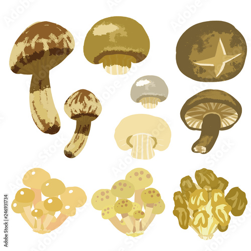 秋野菜 きのこ イラストセット1 Autumn Vegetables Mushroom Illustration Set Stock ベクター Adobe Stock