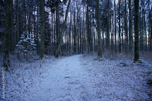 Rottweil / Landschaft im umkreis Rottweil photo