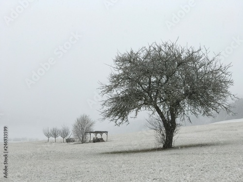 Rottweil / Landschaft im umkreis Rottweil photo