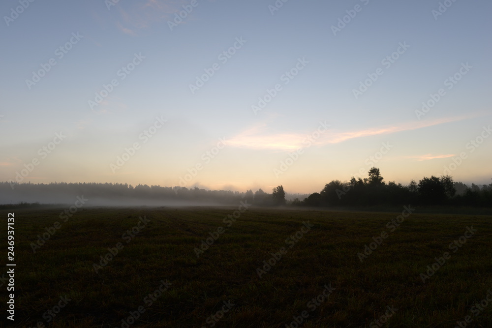 Sunlight of dawn in the blue sky above a field in the morning mist early morning.