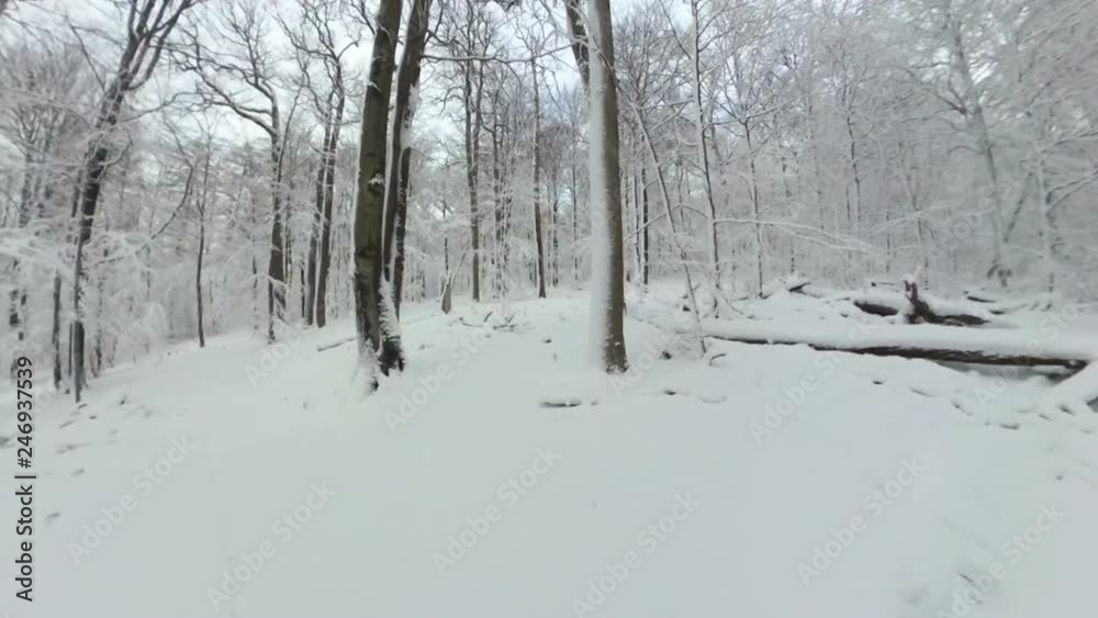Mann wandert durch Winterwald, Naturpark Spessart, VR, 360 Grad Mann wandert durch Winterwald, Naturpark Spessart, VR, 360 Grad