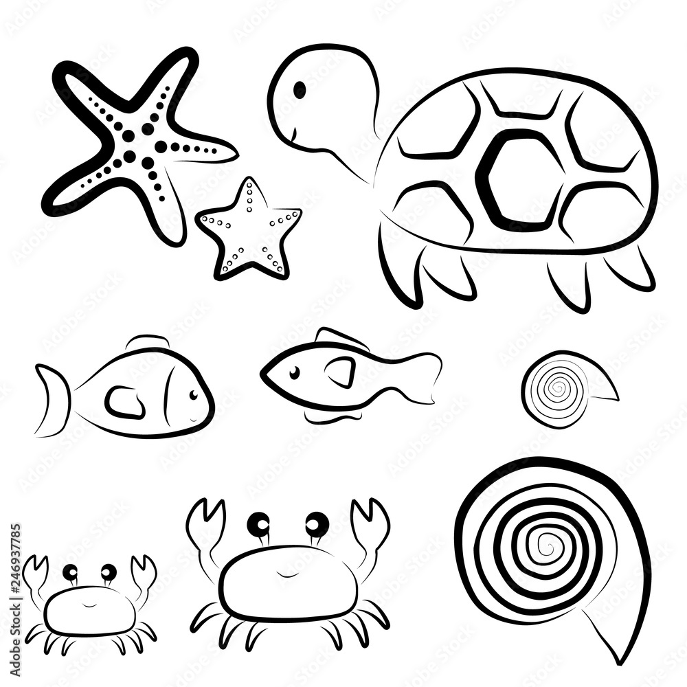 Vector colletion of cute black and white sea animals