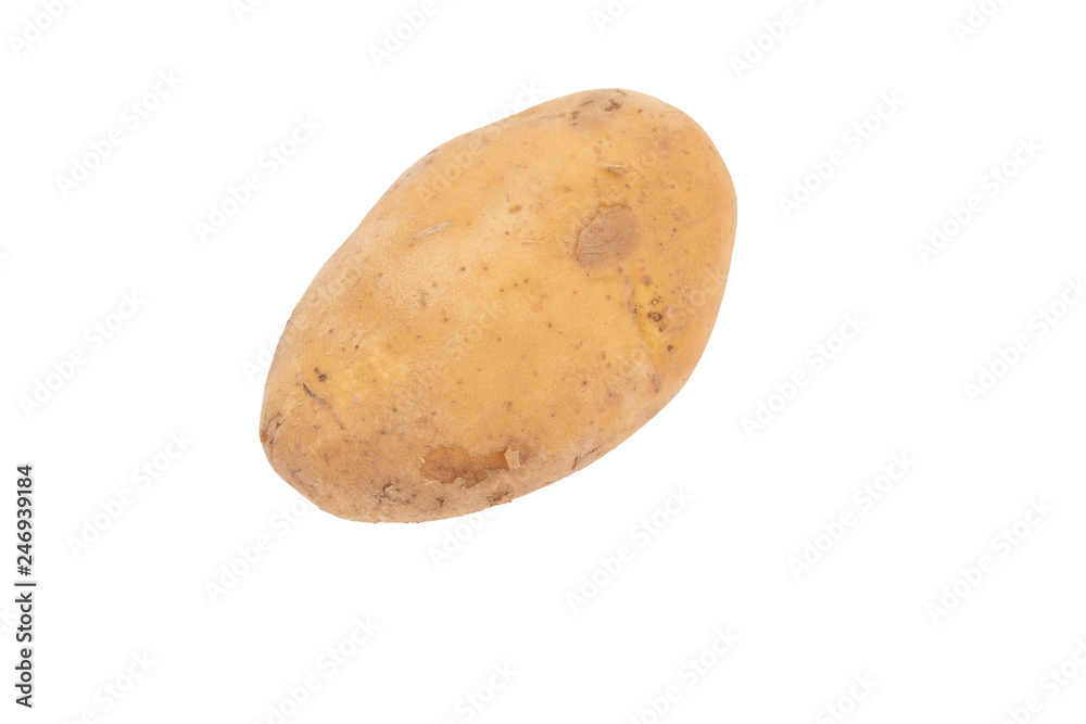 potato isolated on white background potato isolated on white background