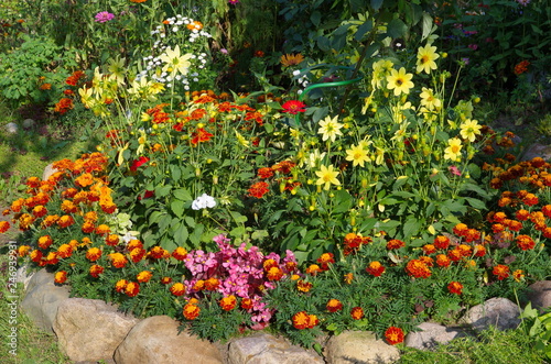 Decorative flower bed in the garden