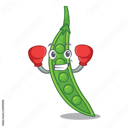 Boxing snow pea above mascot wood table